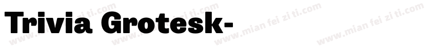 Trivia Grotesk字体转换